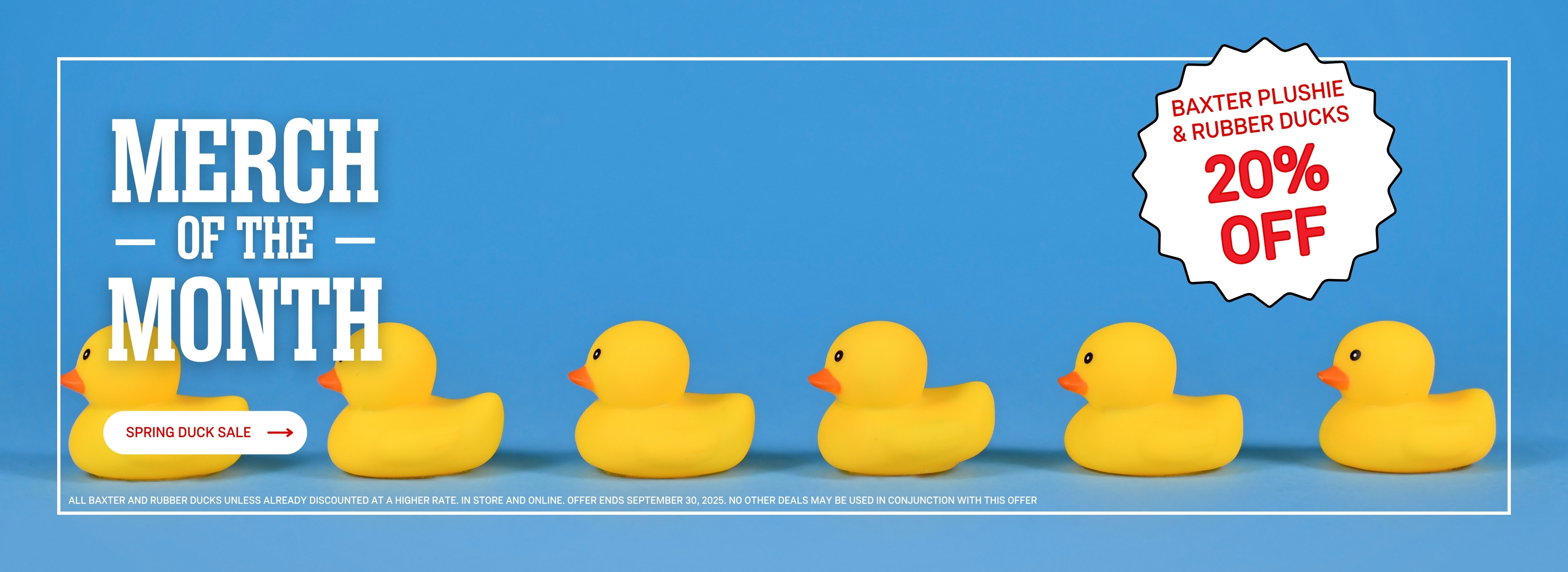 SPRING DUCK SALE