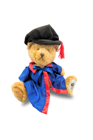 Small PhD Bear