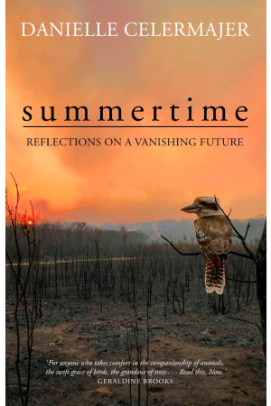 Summertime: Reflections on a vanishing future