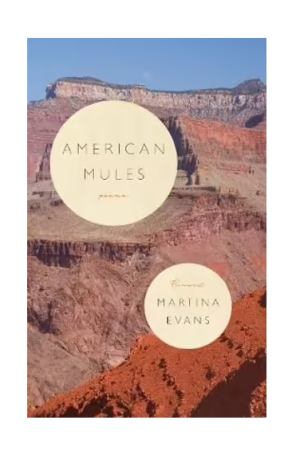 American Mules