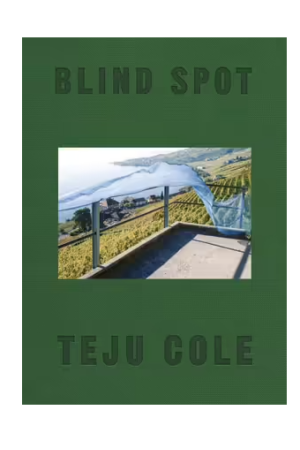 Blind Spot