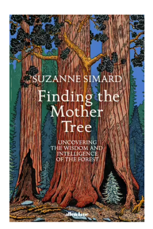 Finding the Mother Tree | Uncovering the Wisdom and Intelligence of the Forest