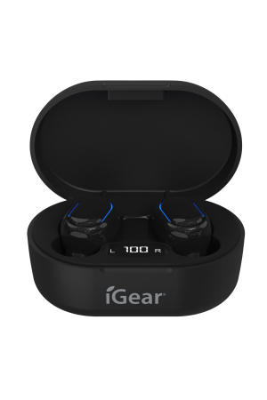 Bluetooth Wireless Earphones With Black Charging Case