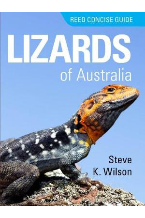 Reed Concise Guide: Lizards of Australia