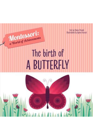 The Birth Of A Butterfly