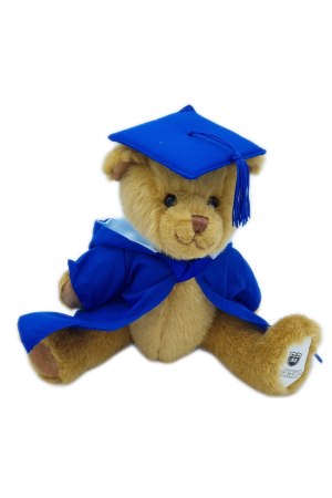Small Bachelor Bear