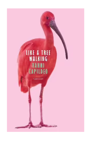 Like a Tree Walking