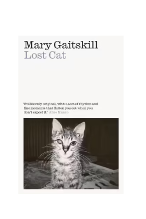 Lost Cat