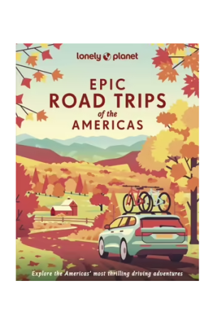 Epic Road Trips of the Americas | Lonely Planet Travel Guide