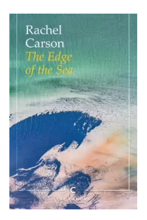 The Edge of the Sea