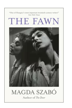 The Fawn