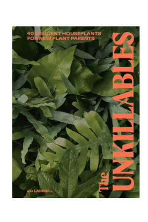 The Unkillables | 40 resilient house plants for new plant parents