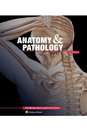 Anatomy & Pathology: The World's Best Anatomical Charts