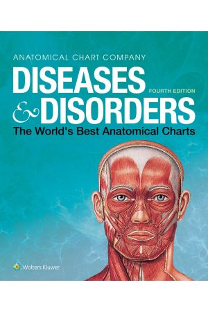 Diseases and Disorders: The World's Best Anatomical Charts