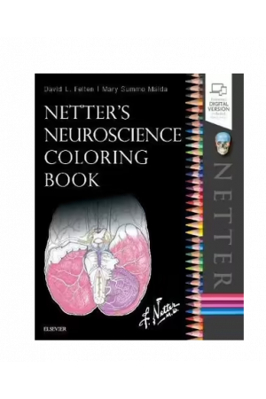 Netter's Neuroscience Colouring Book