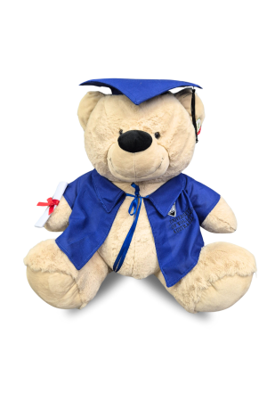 Large Bachelor/Masters Bear