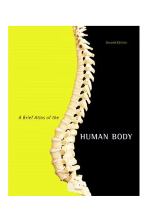 A Brief Atlas of the Human Body