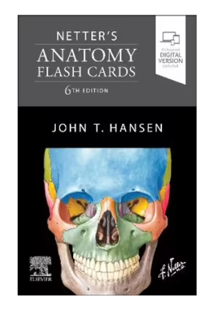 Netter's Anatomy Flash Cards - 6th Edition