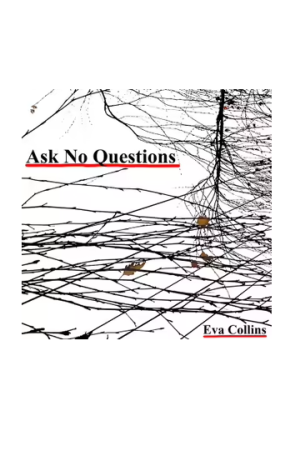 Ask No Questions