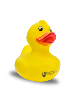 UOW Rubber Duck