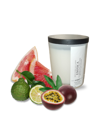 Exotica Medium Soy Wax Candle