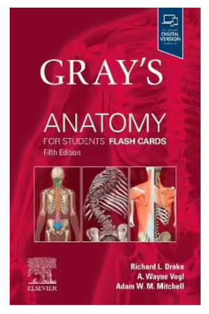 Gray's Anatomy for Students Flash Cards - 5th ed