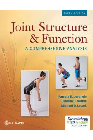 Joint Structure & Function | A Comprehensive Analysis