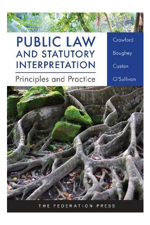 Public Law and Statutory Interpretation Principles and Practice
