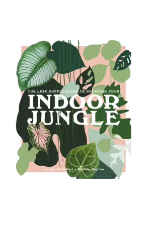 Leaf Supply Guide to Creating Your Indoor Jungle