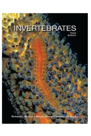 Invertebrates 3ed