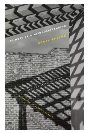 It Must Be a Misunderstanding | New and Selected Poems