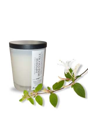 Japanese Honeysuckle Medium Soy Wax Candle