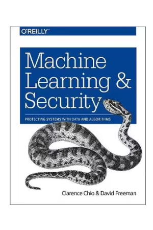 Machine Learning and Security | Protecting Systems with Data and Algorithms