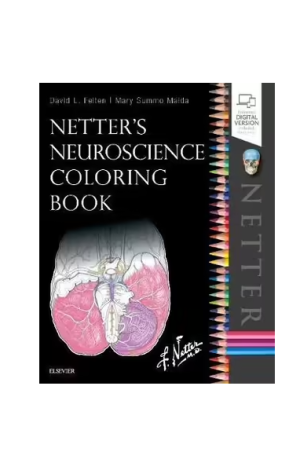 Netter's Neuroscience Colouring Book