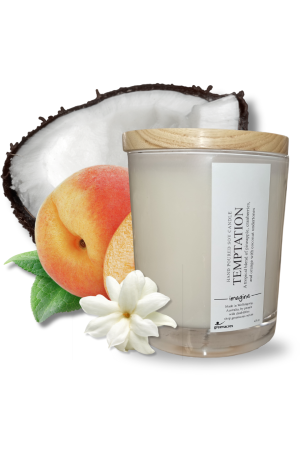 Temptation Large Soy Wax Candle