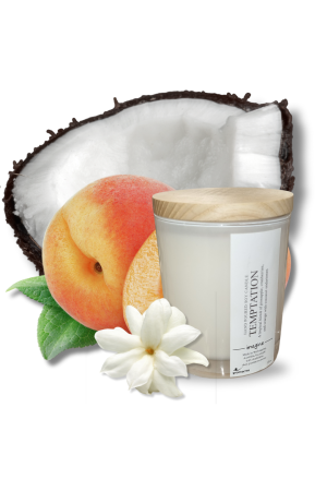 Temptation Medium Soy Wax Candle