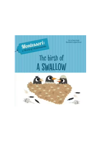 The Birth Of A Swallow