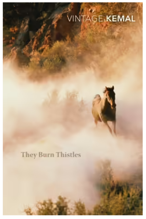 They Burn Thistles