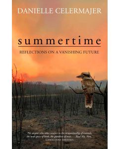Summertime: Reflections on a vanishing future
