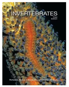 Invertebrates 3ed