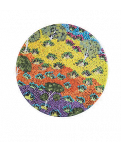 Aboriginal View of Country Ceramic Coaster